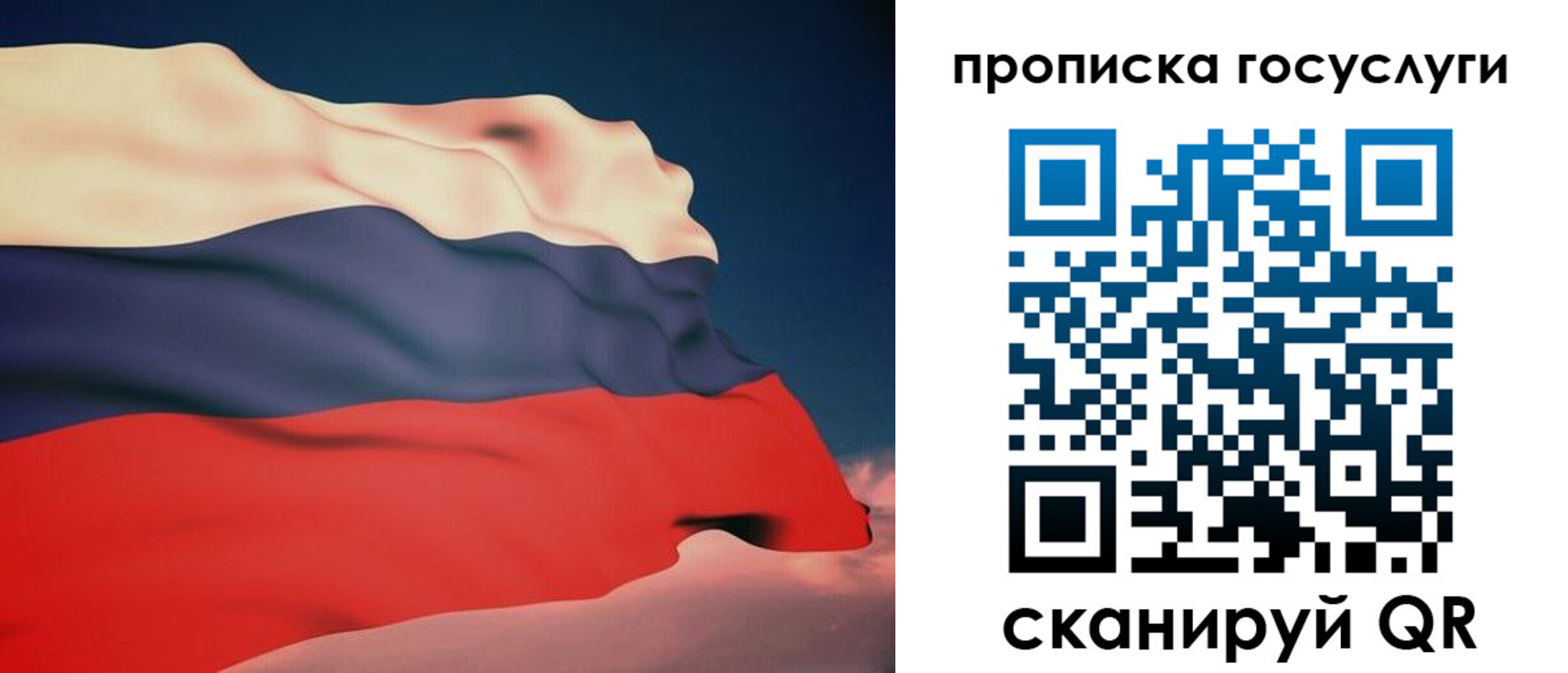 временная регистрация в Павловске